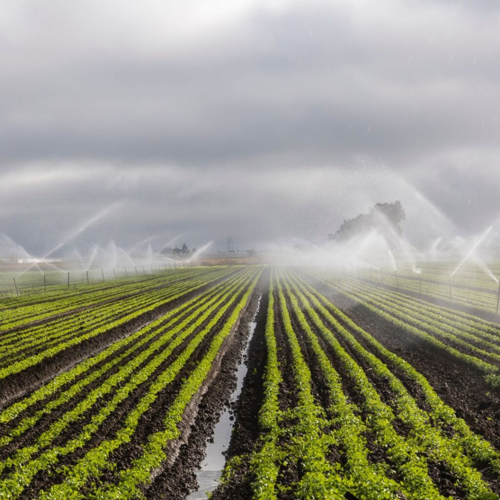 Irrigation